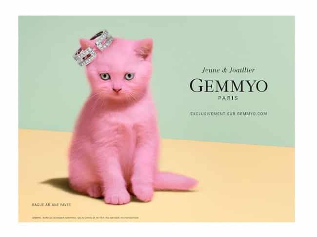 Parcours d'orientation