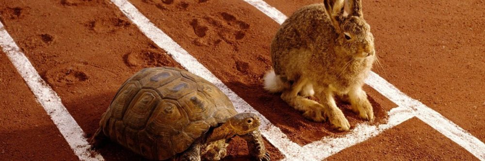 ParcourSup 2019 faire les bons choix