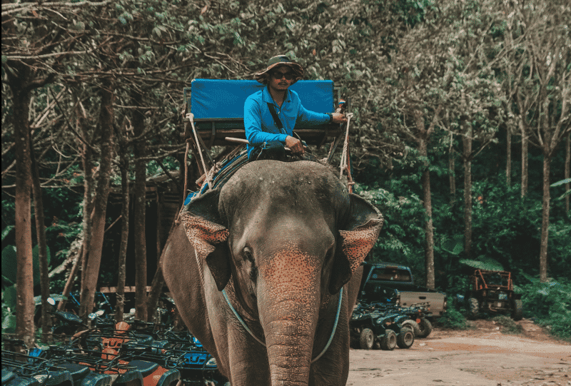 motivation ado bestfutur