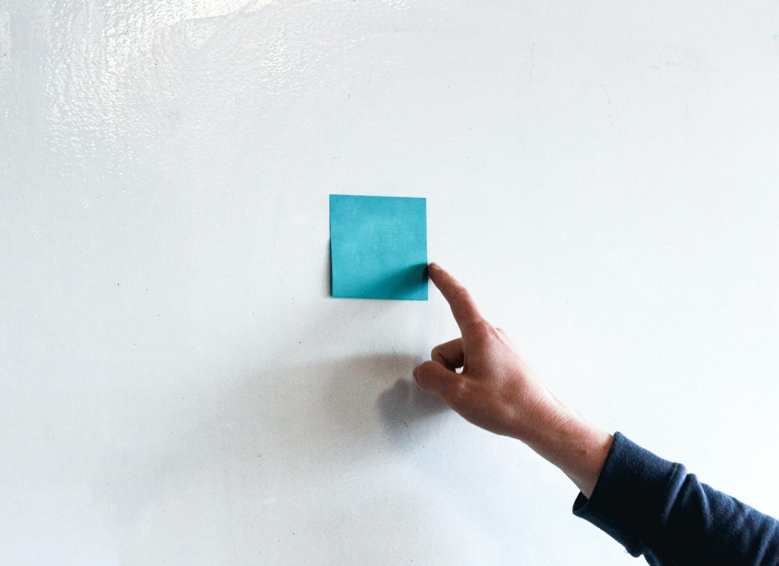 spécialités première lycée