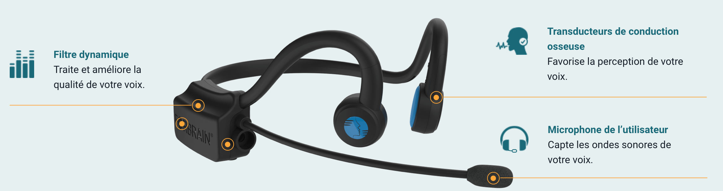 forbrain ideal pour le bac